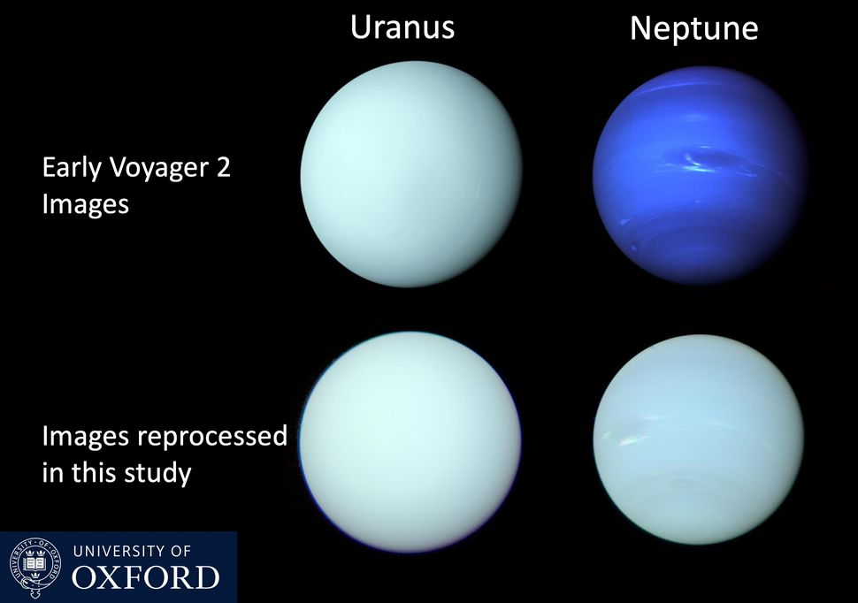اورانوس و نپتون همرنگ‌ هستند!